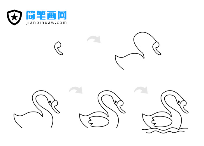 天鵝簡(jiǎn)筆畫(huà)的畫(huà)法步驟和上色教程