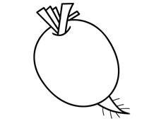 蘿卜的簡筆畫圖片
