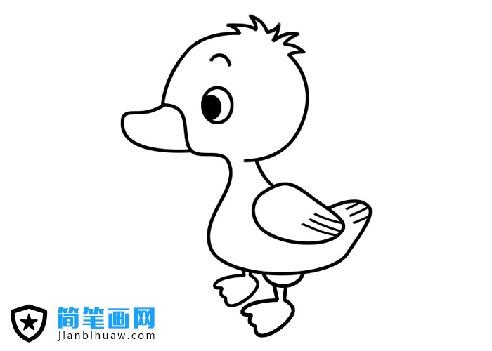 小鴨子簡(jiǎn)筆畫(huà)圖片