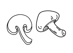 切片的蘑菇簡筆畫圖片