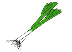 ���[���P���DƬ����ɫ