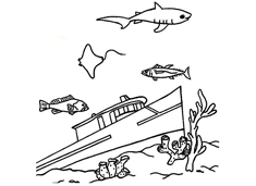 ���׳�������ĺ�(ji��n)�P��(hu��)�DƬ