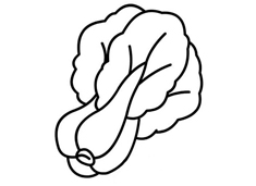 ��˺�(ji��n)�P���DƬ