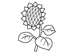 ��ͯ���P�����տ��DƬ