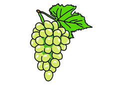 ���Ӻ�(ji��n)�P����ɫ�DƬ