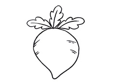 美味紅蘿卜簡筆畫圖片