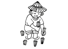農(nóng)民伯伯插秧的簡(jiǎn)筆畫(huà)圖片