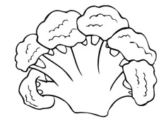 ���˲˻����P���DƬ