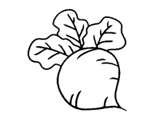 �ÿ����}����(ji��n)�P��(hu��)�DƬ