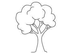 ���(sh��)�ĺ�(ji��n)�P��(hu��)��(hu��)���DƬ