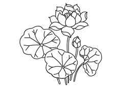 �ɻ����~��(ji��n)�P��(hu��)�DƬ