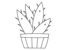 植物蘆薈簡筆畫圖片