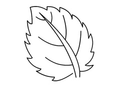 һƬ���~���P���DƬ