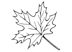 ��ͩ��(sh��)�~��(ji��n)�P��(hu��)�DƬ