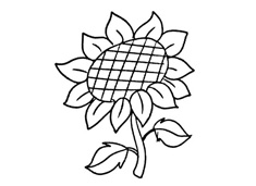 好看的向日葵簡筆畫圖片