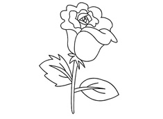 ��(ji��n)�κÿ���õ�廨��(ji��n)�P��(hu��)�DƬ