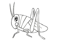 ��ͯ�X�X���P���DƬ