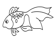 一只漂亮的金魚簡筆畫圖片