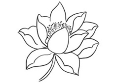 ��(ji��n)���ֺÿ��ĺɻ���(ji��n)�P��(hu��)�DƬ