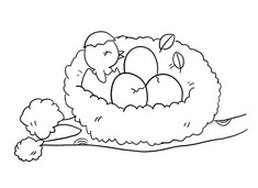 鳥窩簡筆畫圖片含上色