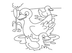 һֻ�����ӎ���ֻС���Ӻ�����Ӿ�ĺ�(ji��n)�P��(hu��)�DƬ