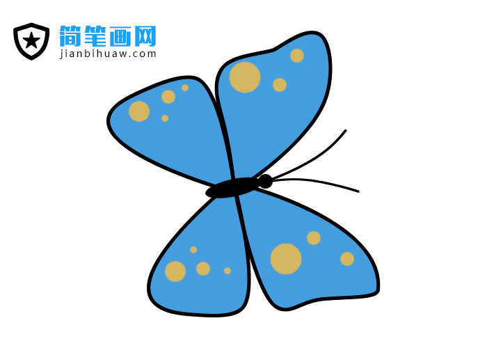 花蝴蝶簡筆畫圖片包含分解步驟和上色