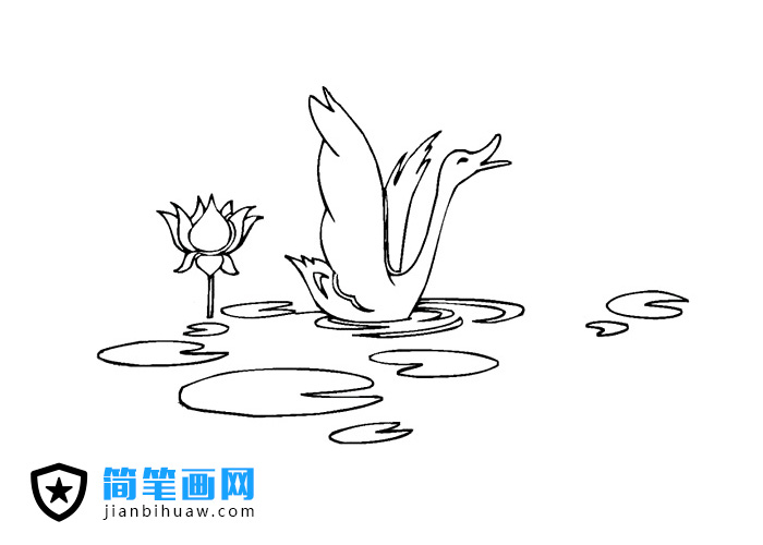 水中的大鵝簡(jiǎn)筆畫圖片