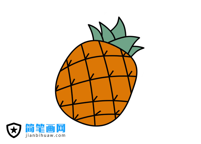 ���}���P���Į�������ɫ