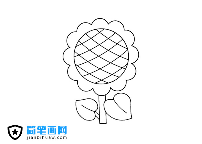 ���տ����P���DƬ