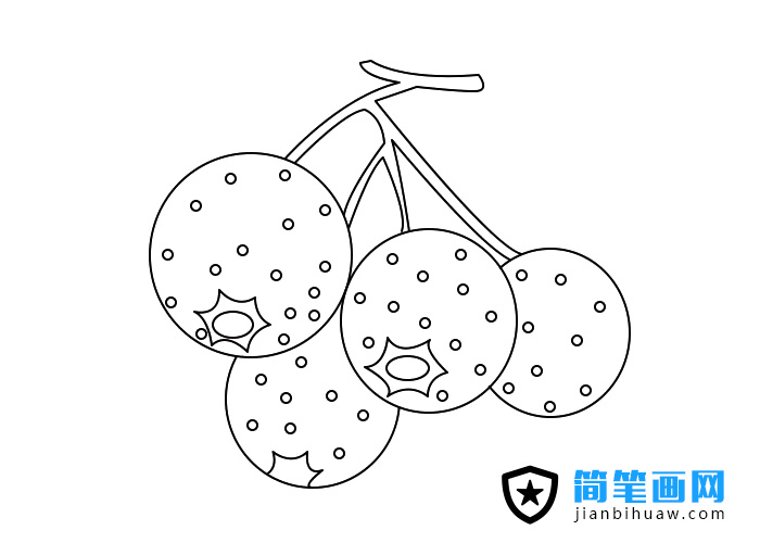 山楂簡筆畫圖片上色