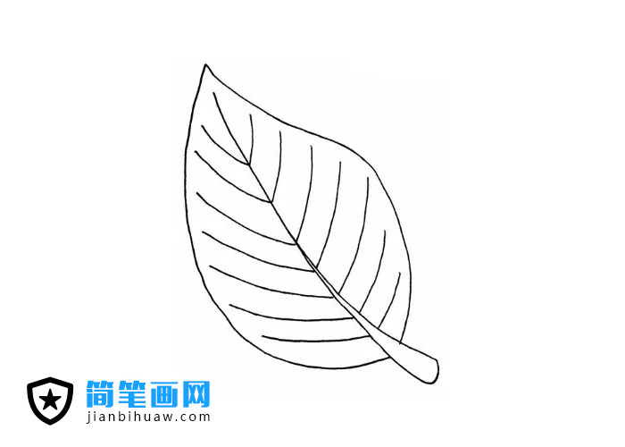 �G�~���P���DƬ����ɫ