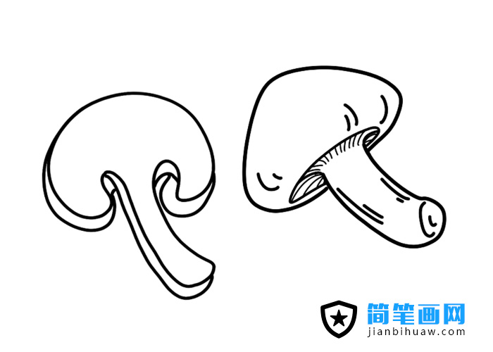 ��Ƭ��Ģ����(ji��n)�P��(hu��)�DƬ