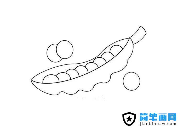 彩色豌豆簡(jiǎn)筆畫圖片含上色