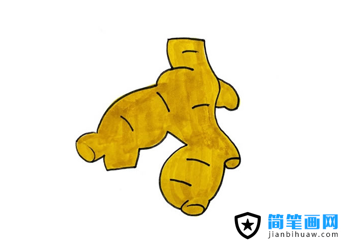 生姜簡筆畫圖片含上色