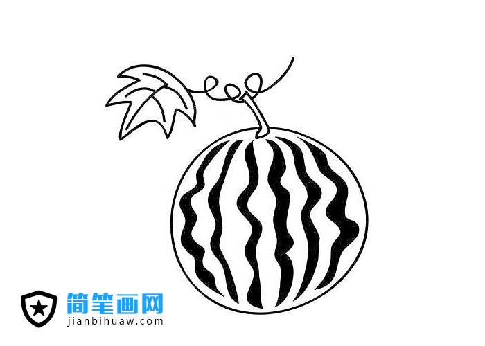 帶葉子的小西瓜簡筆畫圖片