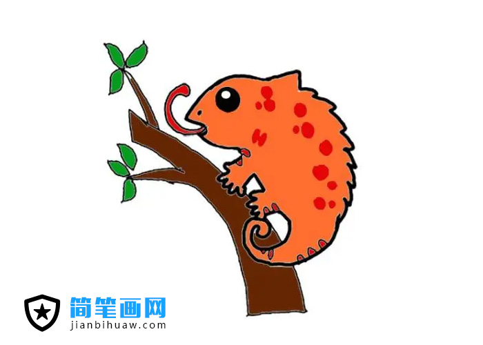 變色龍簡筆畫圖片