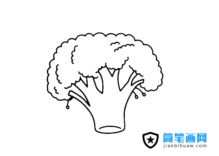 西藍花簡筆畫圖片