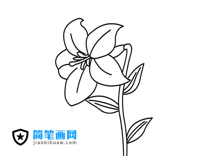 �ٺϻ����P���DƬ