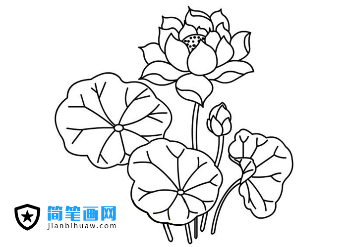 �ɻ����~���P���DƬ