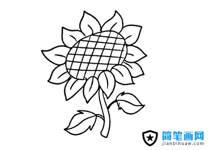 好看的向日葵簡(jiǎn)筆畫圖片