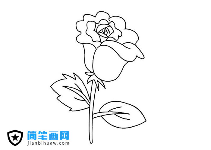 簡(jiǎn)單好看的玫瑰花簡(jiǎn)筆畫圖片