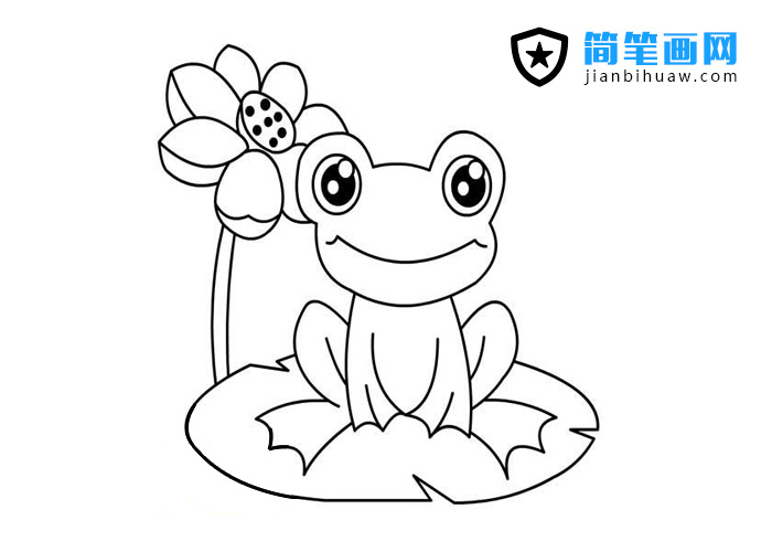 趴在荷葉上的青蛙簡筆畫圖片