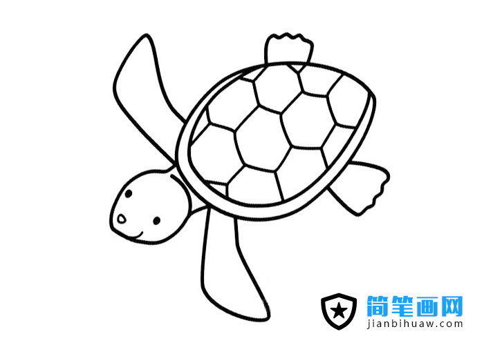 小海龜簡(jiǎn)筆畫(huà)圖片