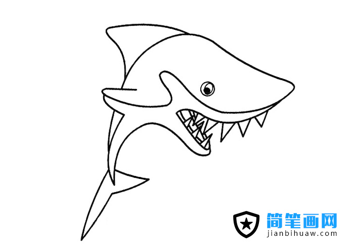 滿嘴獠牙的鯊魚(yú)簡(jiǎn)筆畫(huà)圖片