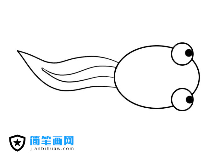 小蝌蚪簡(jiǎn)筆畫圖片含上色