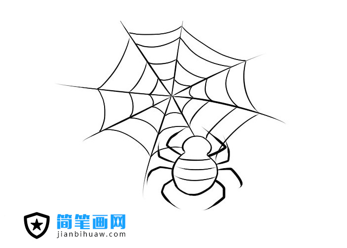 簡(jiǎn)單好畫的蜘蛛網(wǎng)蜘蛛簡(jiǎn)筆畫圖片