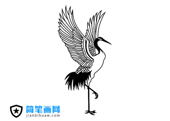 張開翅膀的丹頂鶴簡筆畫圖片