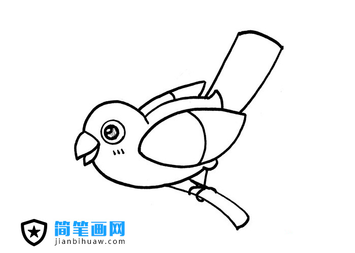 站在樹(shù)枝上的小鳥(niǎo)簡(jiǎn)筆畫(huà)圖片