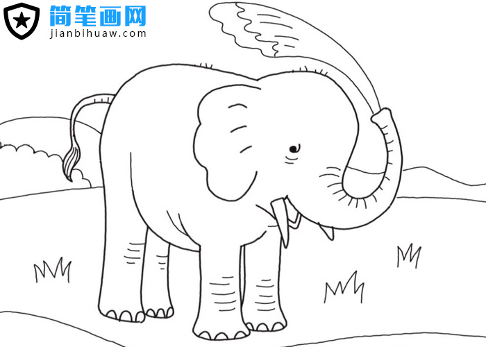 大象用鼻子吸水洗澡的簡筆畫