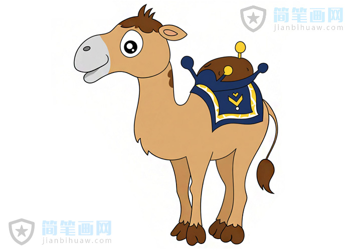 �񄺆�P���DƬ����ɫ�DƬ